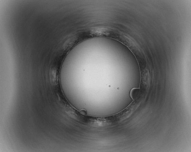 X0000116330420200912091043