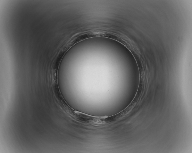 X0000116330421200912091043