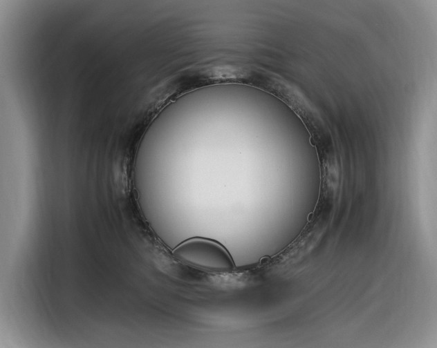 X0000116330422200912091043