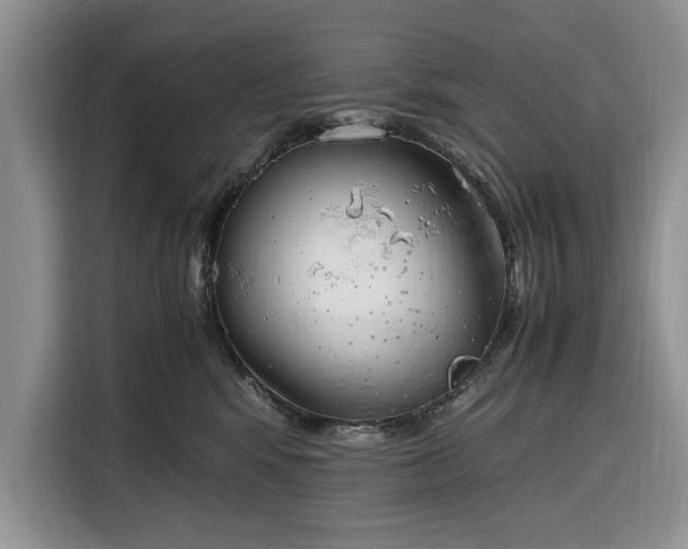 X0000116330424200912091043
