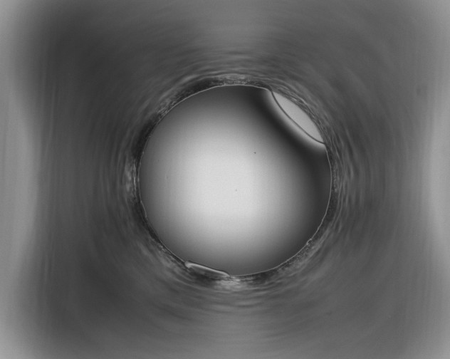 X0000116330425200912091043