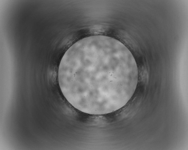 X0000116330427200912091043
