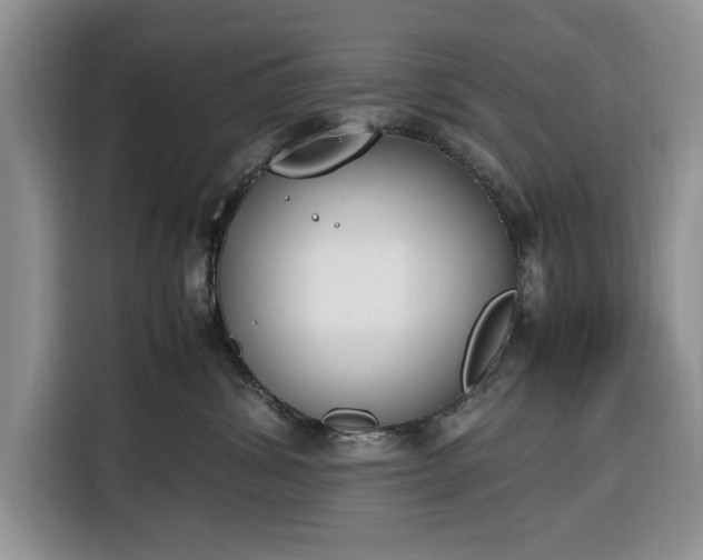 X0000116330428200912091043