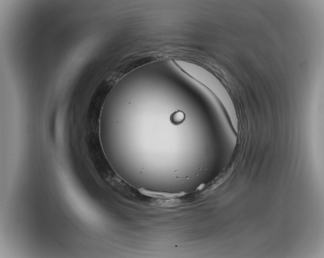 X0000116330429200912091043