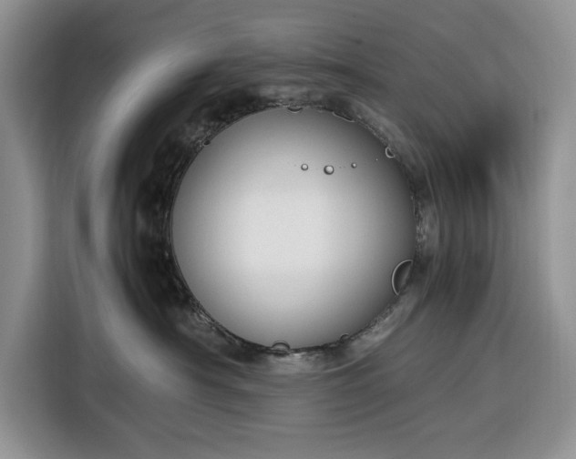 X0000116330430200912091043
