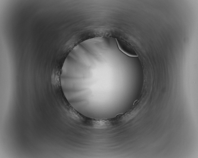 X0000116330432200912091043