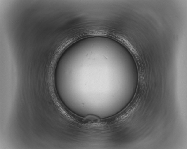 X0000116330433200912091042