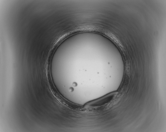 X0000116330434200912091042