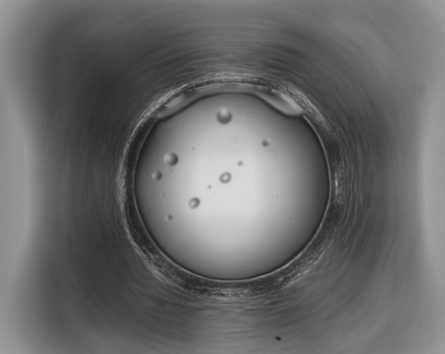 X0000116330436200912091042