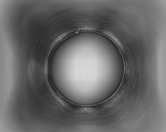 X0000116330437200912091042