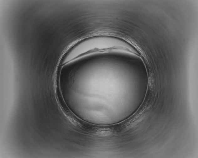 X0000116330438200912091042