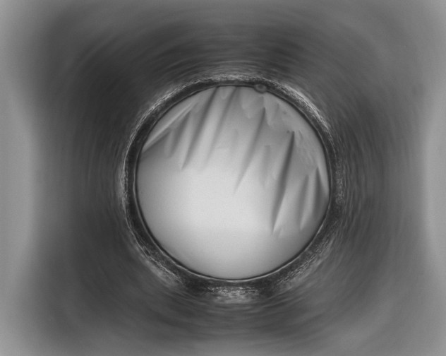 X0000116330439200912091042
