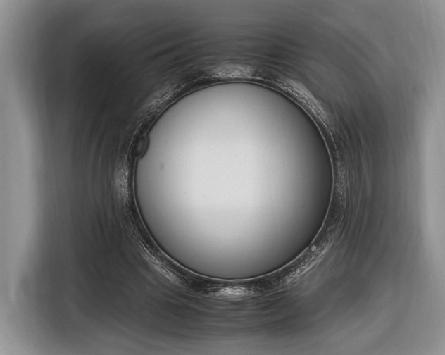 X0000116330441200912091042