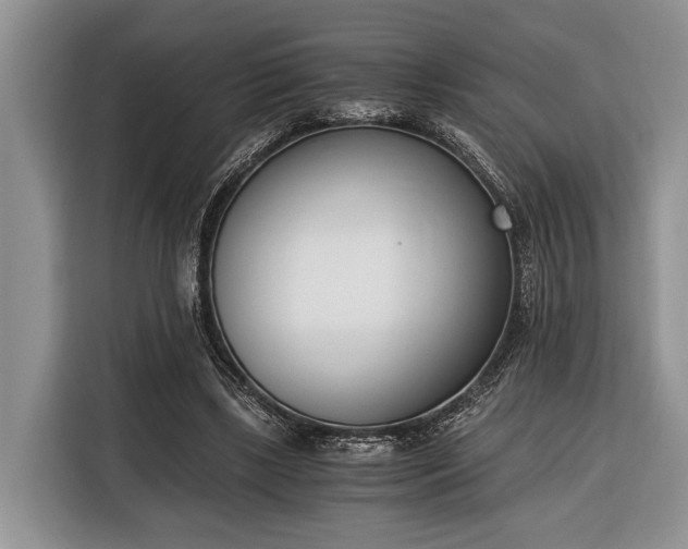 X0000116330443200912091042