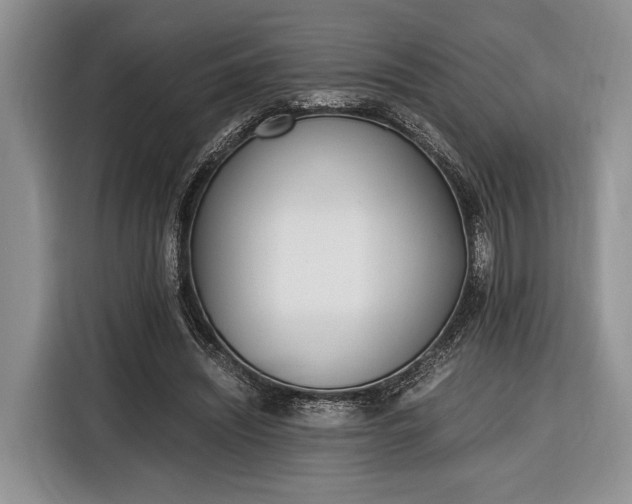 X0000116330444200912091042