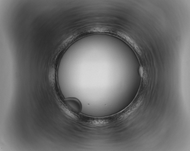 X0000116330445200912091042