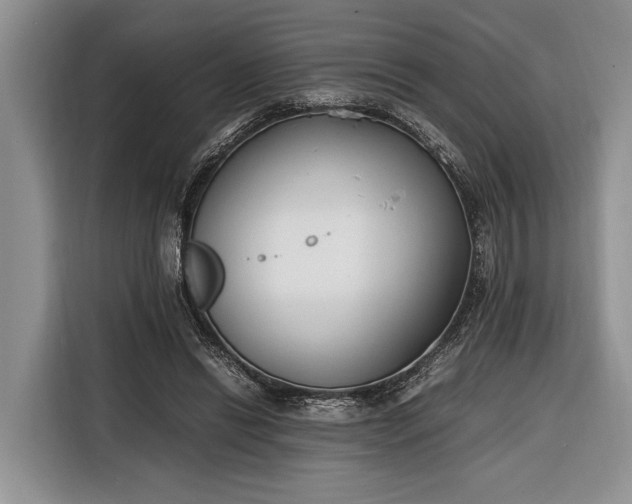 X0000116330446200912091042