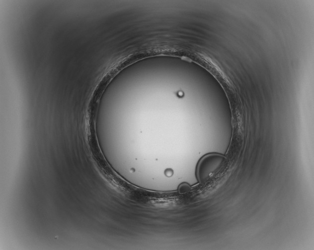 X0000116330447200912091042