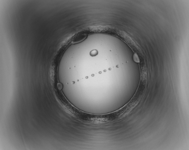 X0000116330448200912091042
