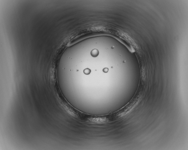 X0000116330449200912091042