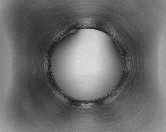 X0000116330450200912091042