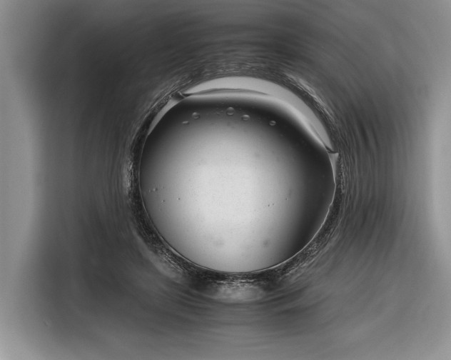 X0000116330451200912091042