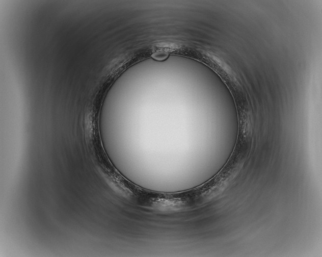 X0000116330455200912091042