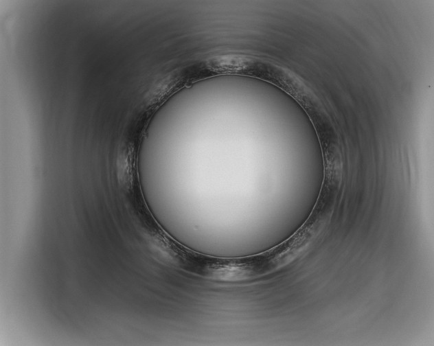 X0000116330460200912091042