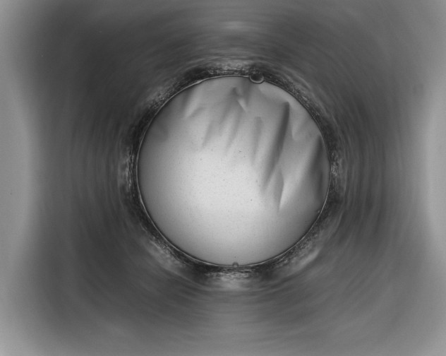 X0000116330462200912091043