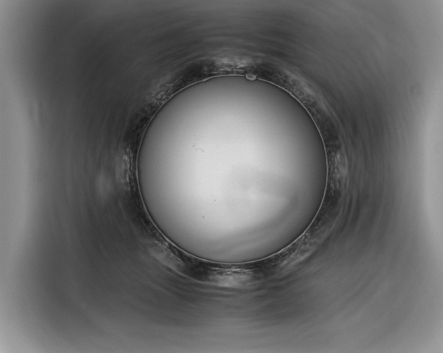 X0000116330463200912091043