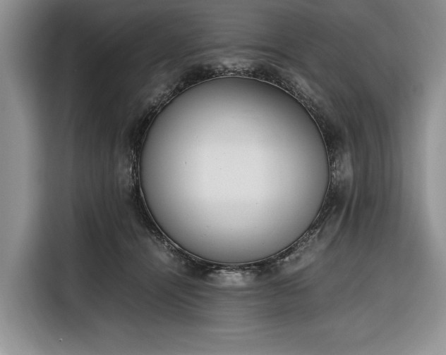 X0000116330464200912091043