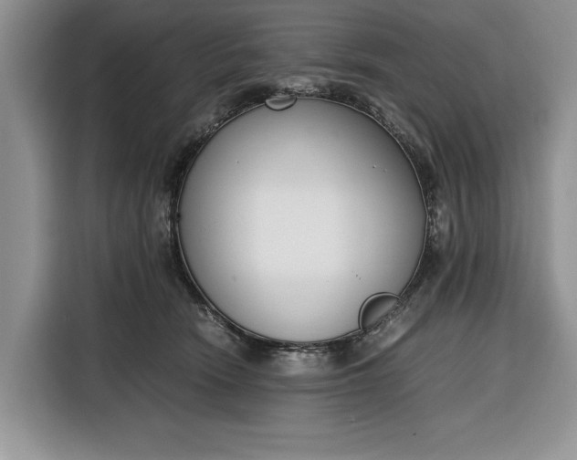 X0000116330466200912091043
