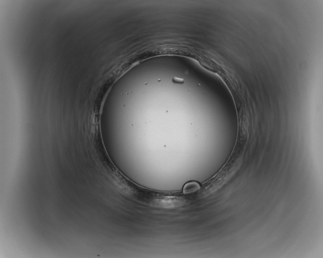 X0000116330467200912091043