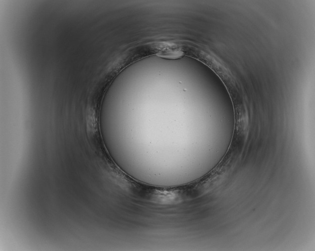 X0000116330469200912091043