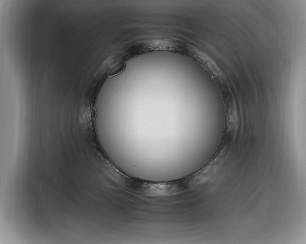 X0000116330473200912091043