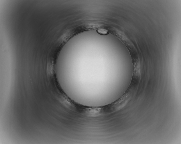 X0000116330474200912091043