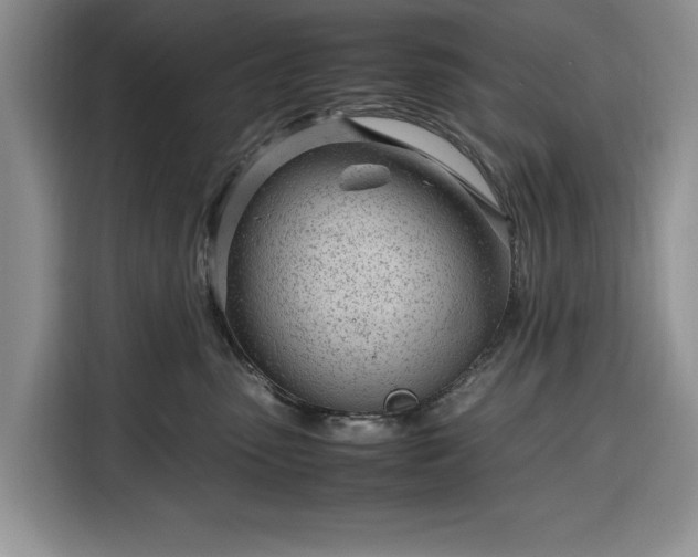 X0000116330475200912091043