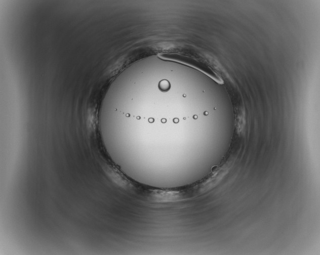 X0000116330476200912091043