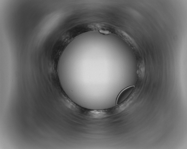 X0000116330477200912091043