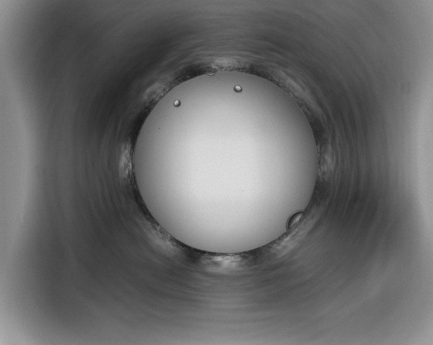 X0000116330478200912091043