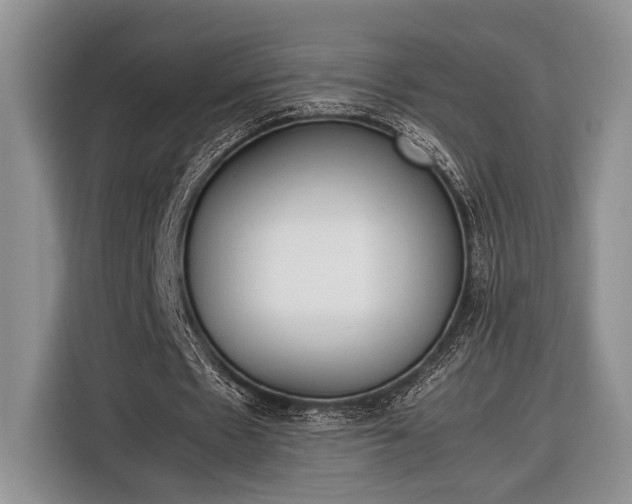X0000116330481200912091042