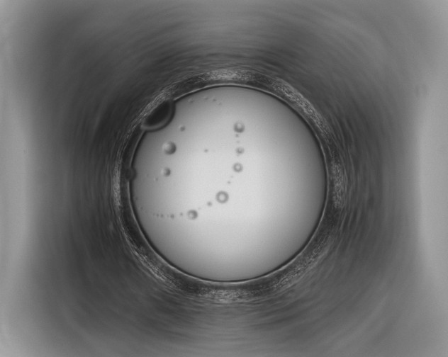 X0000116330482200912091042