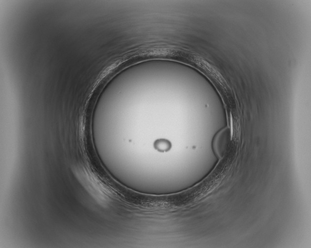 X0000116330483200912091042