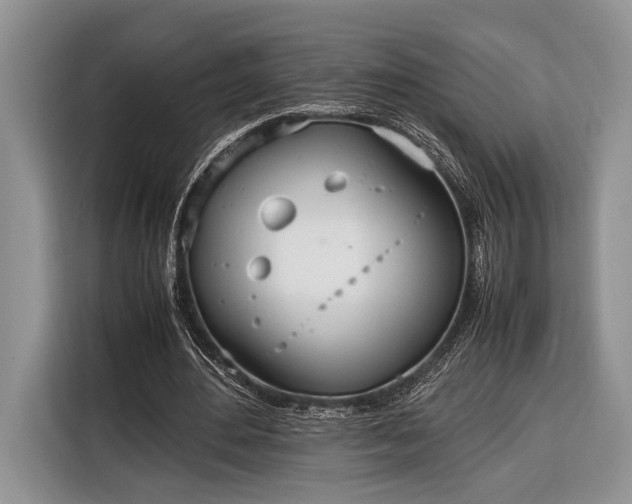 X0000116330484200912091042