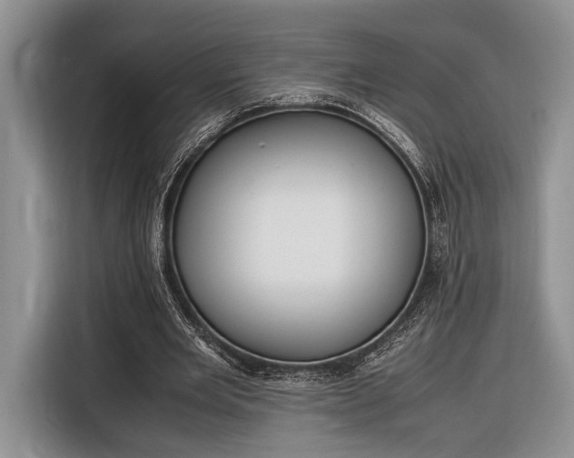 X0000116330485200912091042