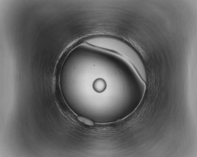 X0000116330488200912091042