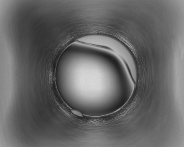 X0000116330489200912091042