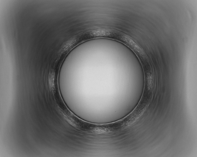 X0000116330490200912091042