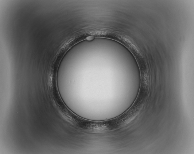 X0000116330491200912091042