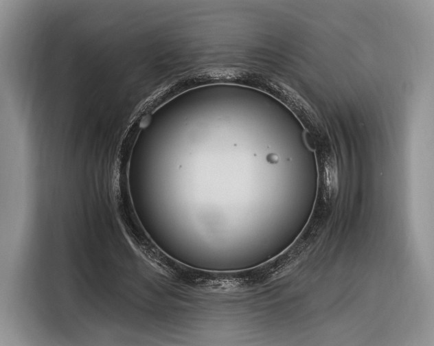 X0000116330492200912091042
